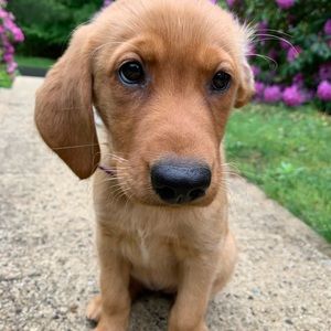 Meet your Posher, Mary